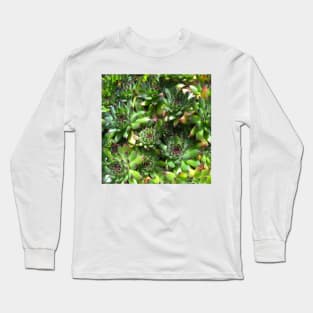 Succulent splendour  green bloom Long Sleeve T-Shirt